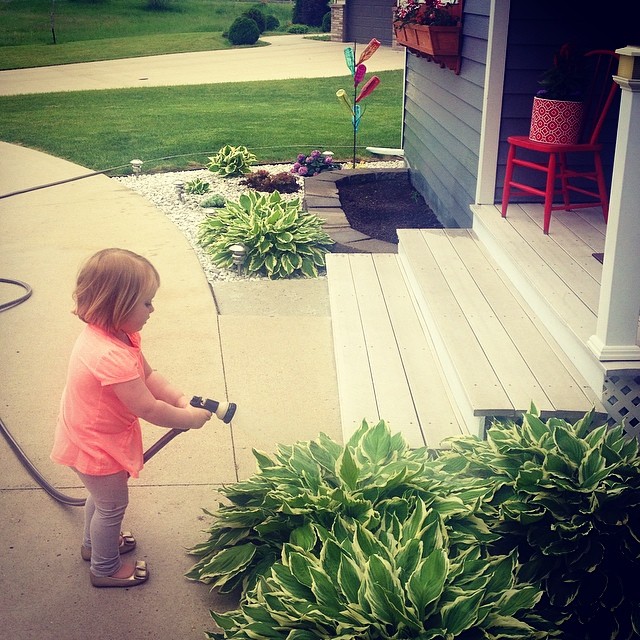 Watering flowers